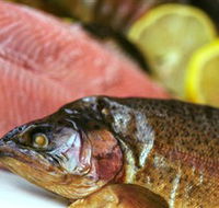 Lovedale Smokehouse Gourmet Pantry Cafe and Masterclasses - Accommodation QLD