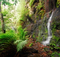Fairy Bower Falls - Accommodation QLD