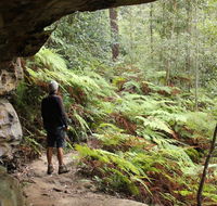 Dharug National Park - Accommodation QLD