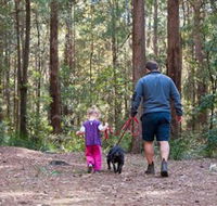 Olney State Forest - Watagan Mountains - Accommodation QLD
