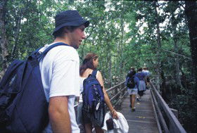 Cedarton QLD Accommodation QLD