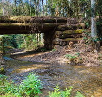 Myrtle Scrub scenic drive - Accommodation QLD