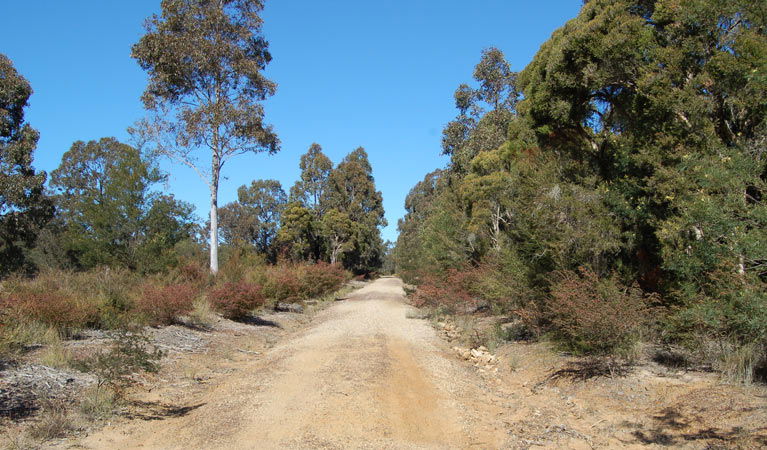 Elrington NSW Accommodation QLD