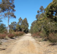 Werakata National Park - Accommodation QLD