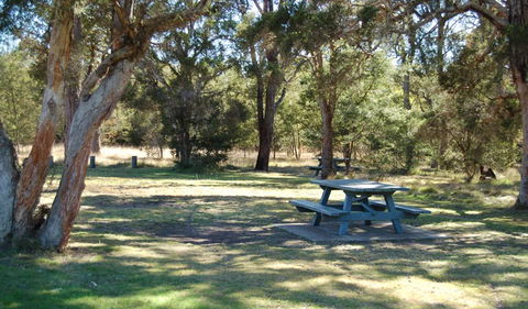 Werakata National Park - Accommodation QLD 1