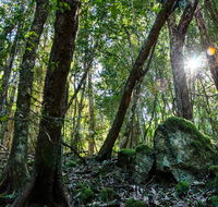 Copeland Tops State Conservation Area - Accommodation QLD