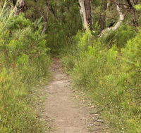 Three Views walking track - Accommodation QLD