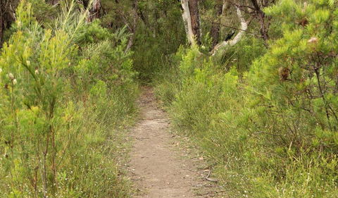 Three Views Walking Track - Accommodation QLD 0