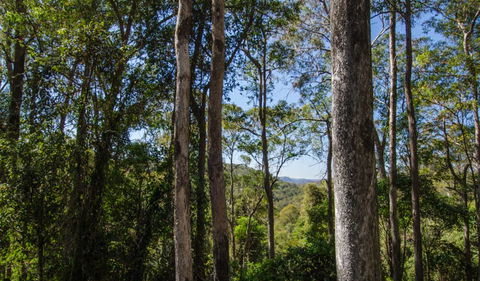 Basin Loop Track - Accommodation QLD 3