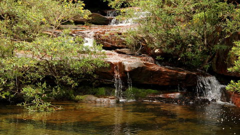 Popran National Park - Accommodation QLD 2