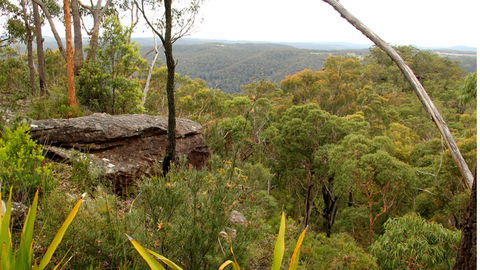 Popran National Park - Accommodation QLD 3