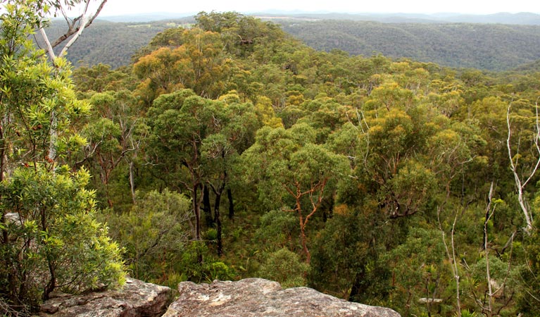 Mangrove Mountain NSW Accommodation QLD