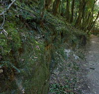 Hidden Treasure track - Accommodation QLD