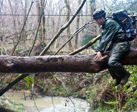 Bear Grylls Survival Academy - Accommodation QLD 5