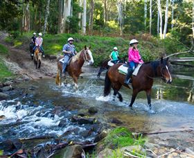 Glenworth Valley Horse Riding - Accommodation QLD 1