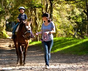 Glenworth Valley Horse Riding - Accommodation QLD 3