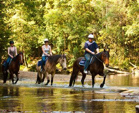 Glenworth Valley Outdoor Adventures - Accommodation QLD 2