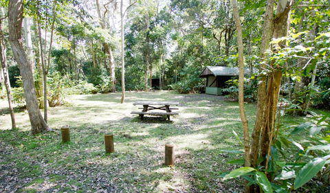 Toonumbar National Park - Accommodation QLD 3