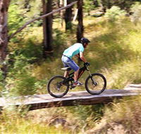 The Steps Mountain Bike Park - Accommodation QLD