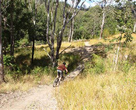 The Steps Mountain Bike Park - Accommodation QLD 2
