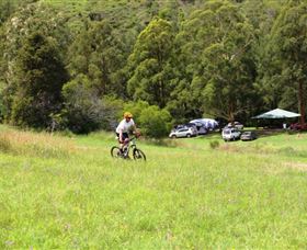 The Steps Mountain Bike Park - Accommodation QLD 1