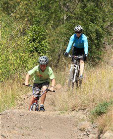 The Steps Mountain Bike Park - Accommodation QLD 6