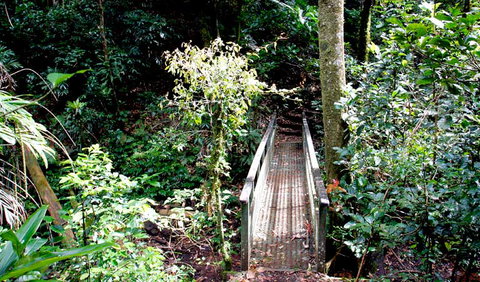 Richmond Range National Park - Accommodation QLD 0
