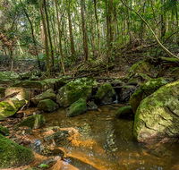 Palm Grove Nature Reserve - Accommodation QLD