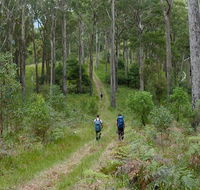 The Green Gully track - Accommodation QLD
