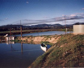 Trudgalong Farm - Accommodation QLD 1