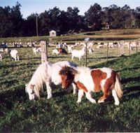 Trudgalong Farm - Accommodation QLD