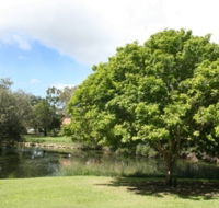 Hervey Bay Botanic Gardens - Accommodation QLD