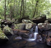 Kangaroo River - Accommodation QLD