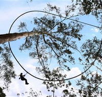 TreeTops Crazy Rider - Accommodation QLD