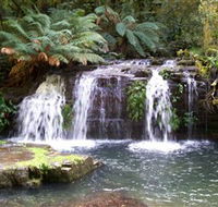 Barrington Tops National Park Walks - Accommodation QLD