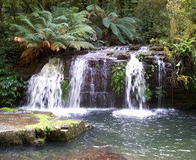 Barrington Tops National Park Walks - Accommodation QLD 0