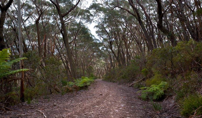 Yadboro NSW Accommodation QLD