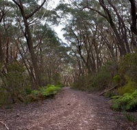 Budawang National Park - Accommodation QLD