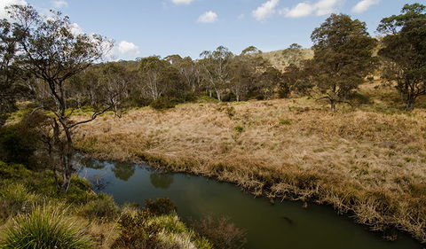 Werrikimbe National Park - Accommodation QLD 0