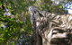 Moore Park Nature Reserve - thumb 1