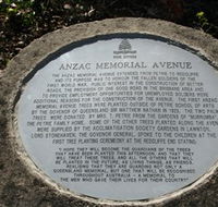 Anzac Memorial Avenue Redcliffe - Accommodation QLD
