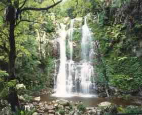 Budderoo National Park - The Falls Walk - Accommodation QLD 0
