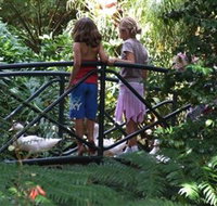 EG Waterhouse National Camellia Garden - Accommodation QLD