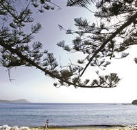 Terrigal Beach - Accommodation QLD
