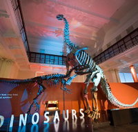 Australian Museum - Accommodation QLD