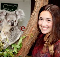 Blackbutt Reserve - Accommodation QLD