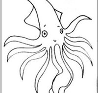 Squid Studio - Accommodation QLD