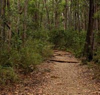 Pigeon House Mountain Didthul walking track - Accommodation QLD