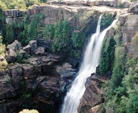 Minnamurra Rainforest Centre: Budderoo National Park - Accommodation QLD 0