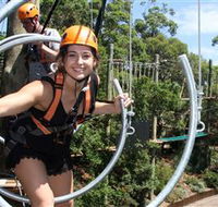 Wild Ropes at Taronga Zoo - Accommodation QLD